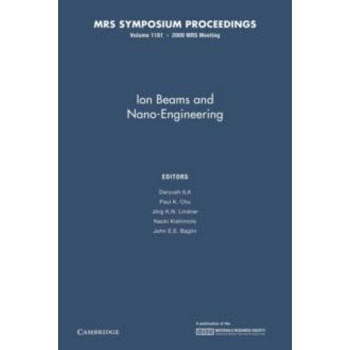 Ion Beams and NanoEngineering Volume 1181 Paperback Book