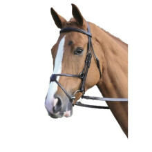 (Full, Havana) Aviemore Mexican Leather Horse Bridle