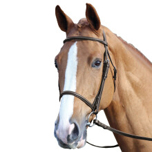 (Full, Havana) Aviemore Raised Cavesson Leather Horse Bridle