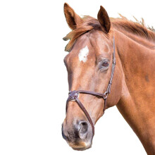 (Pony, Havana) Blenheim Mexican Leather Horse Noseband