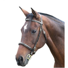 (Cob, Black) Blenheim Fancy Stitch Leather Horse Inhand Bridle