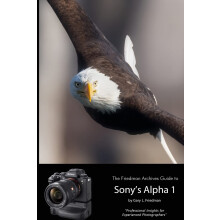 The Friedman Archives Guide to Sony's Alpha 1 (B&W Edition)