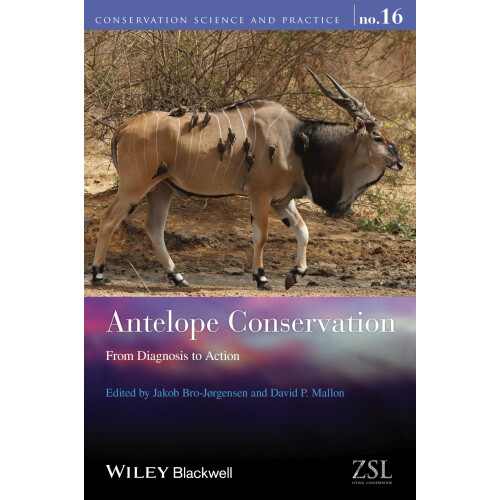 Antelope Conservation: From Diagnosis to Action (Conservation Science and Practice)