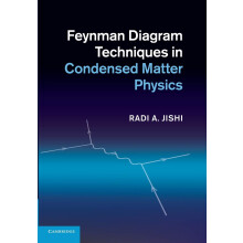 Feynman Diagram Techniques in Condensed Matter Physics