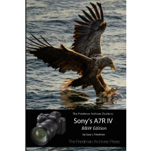 The Friedman Archives Guide to Sony's A7R IV (B&W Edition)
