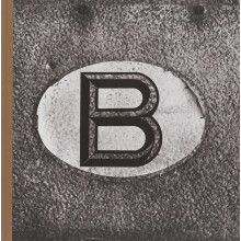 Stephan Vanfleteren - Belgicum