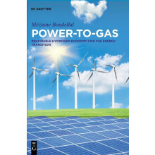 Power-to-Gas: Renewable Hydrogen Economy for the Energy Transition