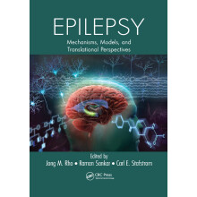 Epilepsy: Mechanisms, Models, and Translational Perspectives