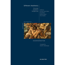 Different Aesthetics: Principles – Questions – Perspectives: 1 (Andere Ästhetik – Koordinaten, 1E)