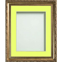 Frame Company Brompton Gold 24x18 Frame with Lemon Bon Bon Mount for 18x12