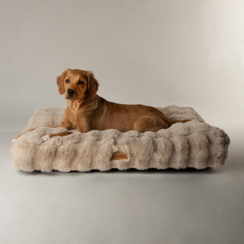 Scruffs Scruffs Luxury Alpine Dog Bed Mattress (L)