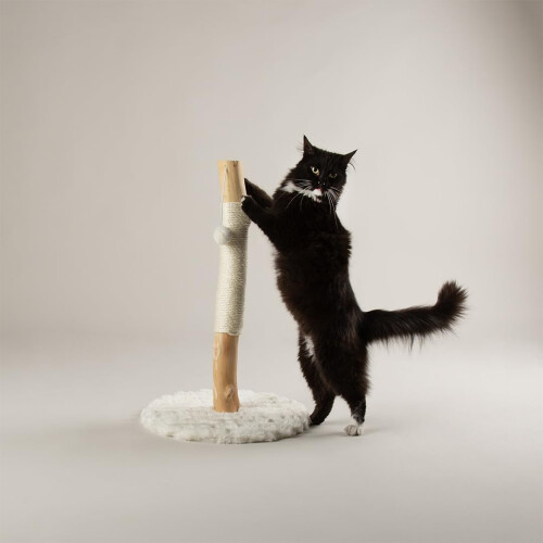 Scruffs Scruffs Rockies Cat Scratching Tree