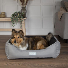 Scruffs Expedition Waterproof Travel Dog Box Bed (L)