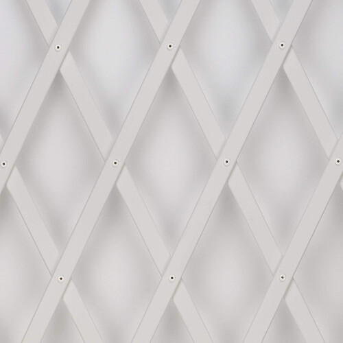 Trepls Extendable PVC Trellis 1,00x2 m Bianco