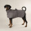 Scruffs Scruffs Expedition Deluxe Drying Robe for Dogs (XL) 1
