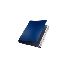 Leitz 59310035 A4 Desk Organiser, 31 Dividers (Numbers 1-31), Blue