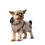Hunter HUNTER Uppsala Dog Coat, 65 cm, Taupe 8