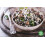 Black Wild Rice USA 2kg 3