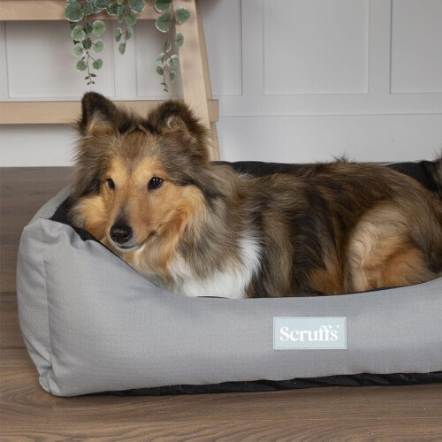 Scruffs Scruffs Expedition Waterproof Travel Dog Box Bed (L) 1