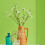 Rust-Oleum Rust-Oleum Green Matt Emulsion Wall Paint - Key Lime 2.5L 6