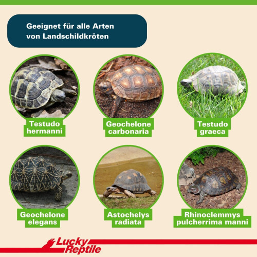 Lucky Reptile 65131 Tortoise Bedding,20 l (Pack of 1) 2