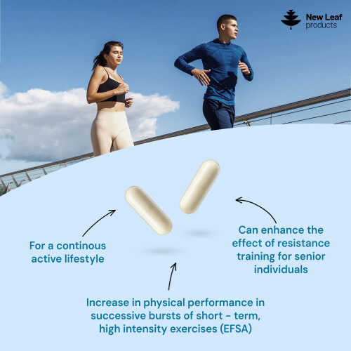 New Leaf Product Creatine Monohydrate Capsules 3000mg SUPPLEMENTS - 240 Creatine Capsules, 2 Months Supply 1