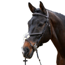(Cob, Havana) Whitaker Eastwood Mexican Leather Horse Bridle With Reins