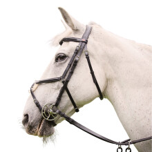 (Pony, Black) Whitaker Eastwood Mexican Leather Horse Bridle With Reins