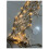 Beach Themed String Lights, LED Shells and Conches, Decorative Lights, Holiday Lights and Atmosphere Lights 5