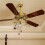 12 Pieces Ceiling Fan Chain Pulls Wooden Pull Chain Extension Pull Chain for Ceiling Light Lamp Fan Chain (Walnut Color) 5