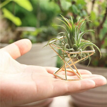18 Pcs Geometric Air Plant Holder Airplants Rack Metal Plants Stand Planter Shelves Himmeli Decor Tillandsia Containers