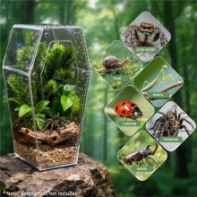 Reptile Terrarium Tank - Transparent Acrylic Spider Cage with Ventilation for Pet Insects