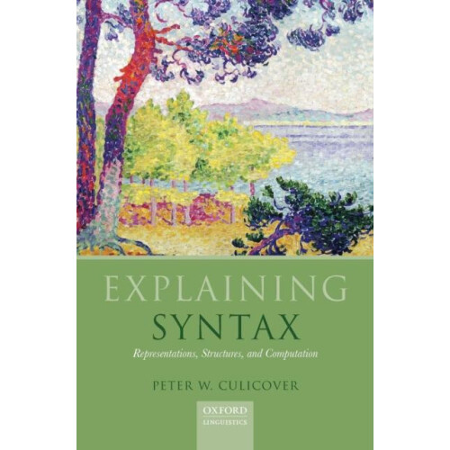 Explaining Syntax Representations Structures and Computation by Peter