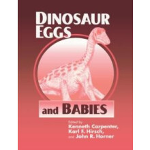 Dinosaur Eggs and Babies Paperback Book