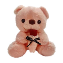 Valentine's Day Rose Doll Plush Toy Gift for Girls