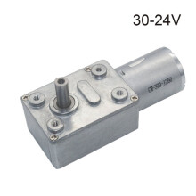 JGY370 Reversible Worm Gear Motor 6V/12V/24V 2–375 RPM