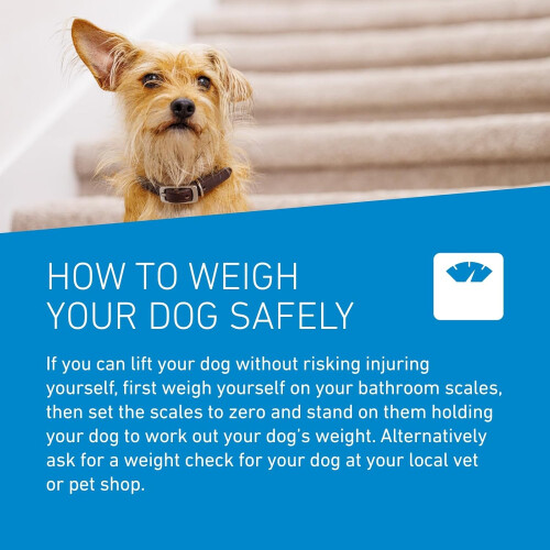 FRONTLINE FRONTLINE Spot On for Small Dog(2-10kg) 6 Pipettes 2