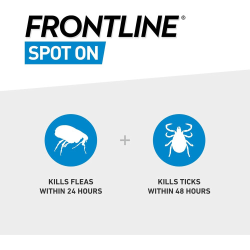 FRONTLINE FRONTLINE Spot On for Small Dog(2-10kg) 6 Pipettes 1