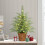 Pre-Lit Green Cypress Christmas Tree 24In Warm White LED 3