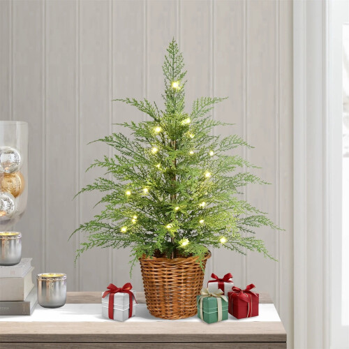 Pre-Lit Green Cypress Christmas Tree 24In Warm White LED 2