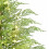 Pre-Lit Mini Christmas Tree Green Nordic Spruce 2ft with 8