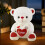 Romantic Cartoon Heart Plush Teddy Bear 25 cm 5