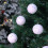 Christmas Foam Balls Craft Set 6 pcs 4
