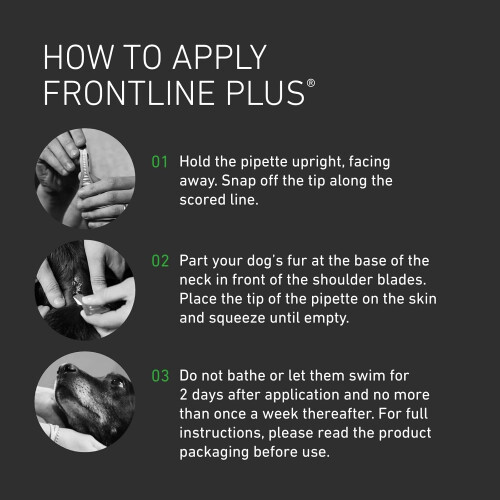 FRONTLINE FRONTLINE Plus Flea Treatment for Large Dogs - 6 2