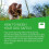 FRONTLINE FRONTLINE Plus Flea Treatment for Large Dogs - 6 5