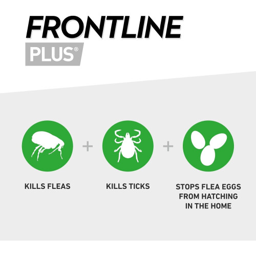 FRONTLINE FRONTLINE Plus Flea Treatment for Large Dogs - 6 1