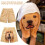 Polyester Shorts with Funny Dog Pattern for Casual Wear 3