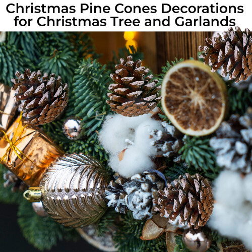 Snow Pine Cones 2 Inch 20 Pcs Holiday Decor 2
