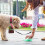 Durable PU Dog Waste Bag Holder with Leash Clip for Easy Walk Access 3