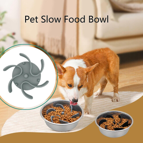 Slow Feeder Dog Insert Stops Boredom Anxiety Slows Down Eating 1